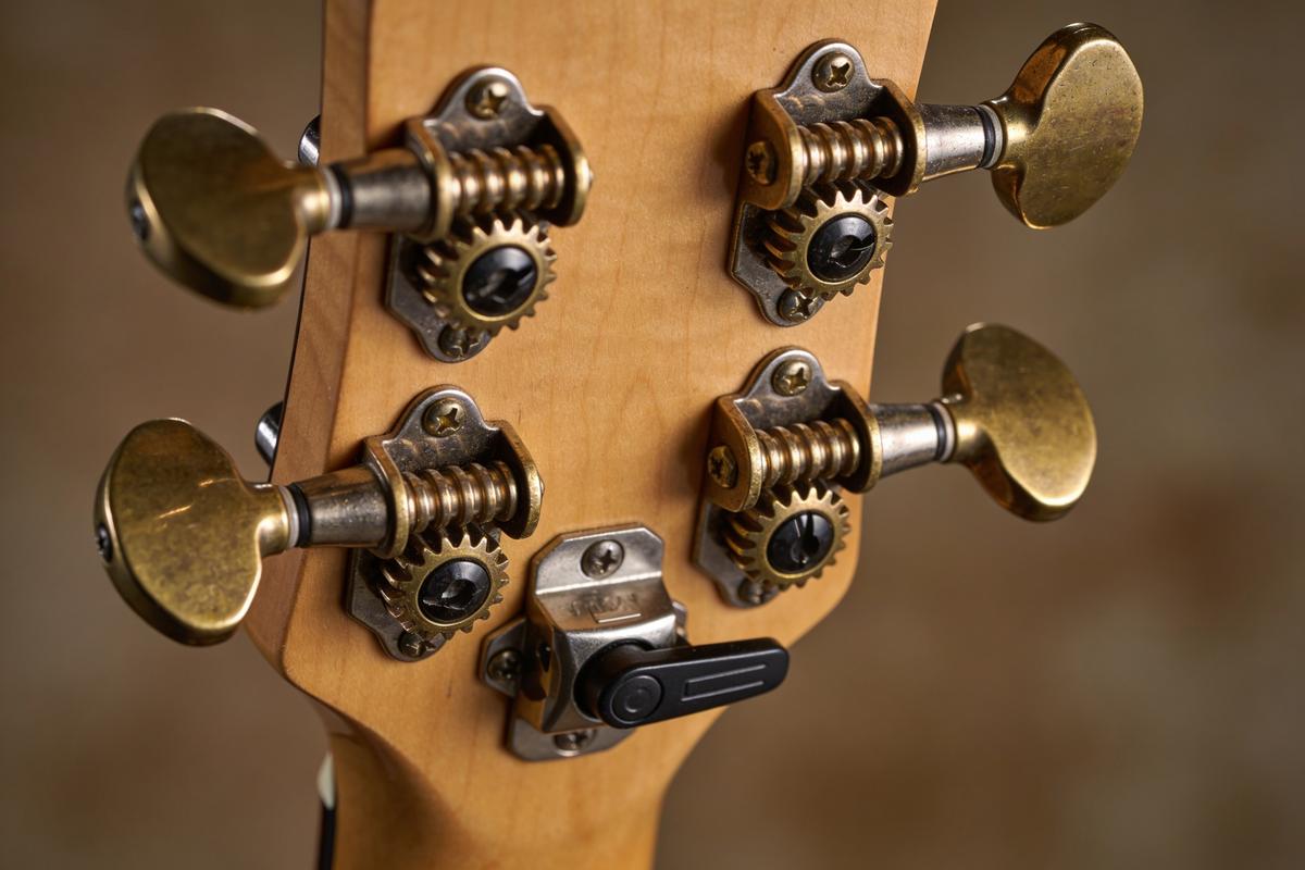 Nahaufnahme von Bass-Gitarrenmechaniken mit goldenen Tuning-Mechanismen